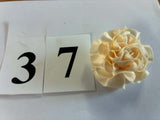 Lapels These Are Stunning (340)