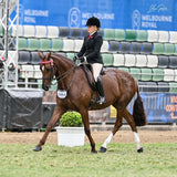 Black Open/ Dressage Jacket Adults (538)