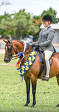 Black And Grey Check With Black Trims (593) Show Hunter Jacket Adults
