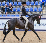 Black Open/ Dressage Jacket Adults (538)