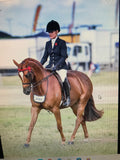 Black Open/ Dressage Jacket Adults (538)