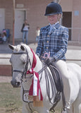 Navy, Grey & Cream Show Hunter Jacket Adults (060)